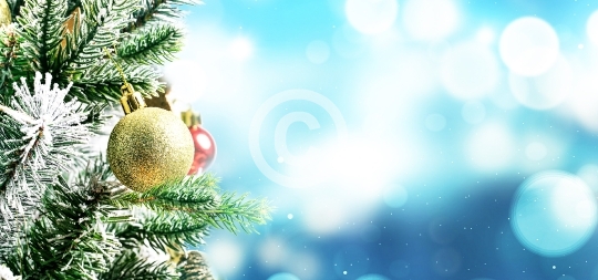 Globe and Christmas tree on a blue background